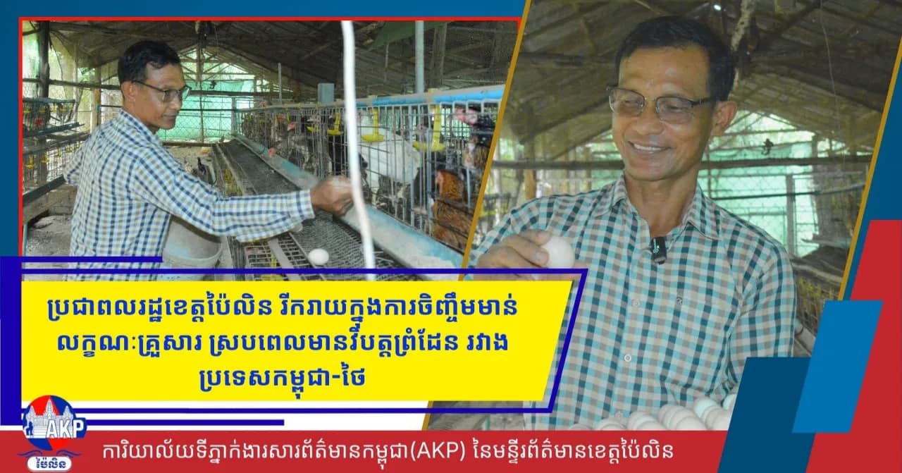 ប្រជាពលរដ្ឋខេត្តប៉ៃលិន រីករាយក្នុងការចិញ្ចឹមមាន់លក្ខណៈគ្រួសារ