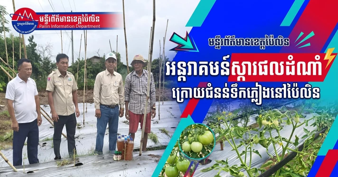 មន្ទីរកសិកម្ម រុក្ខាប្រមាញ់ និងនេសាទខេត្តប៉ៃលិន និងមន្រ្តីជំនាញពាក់ព័ន្ធ ចុះពិនិត្យស្ថានភាពផលប៉ះពាល់ដំណាំកសិកម្ម ដើម្បីអន្តរាគមន៏ និងស្ដារផលិតកម្មឡើងវិញក្រោយជំនន់ទឹកភ្លៀង